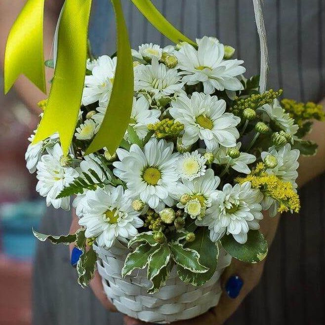 Воздушная акварель от 3 620 руб.