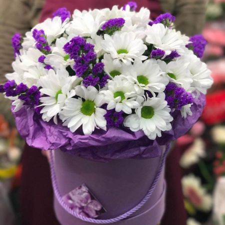 Беззаботная юность