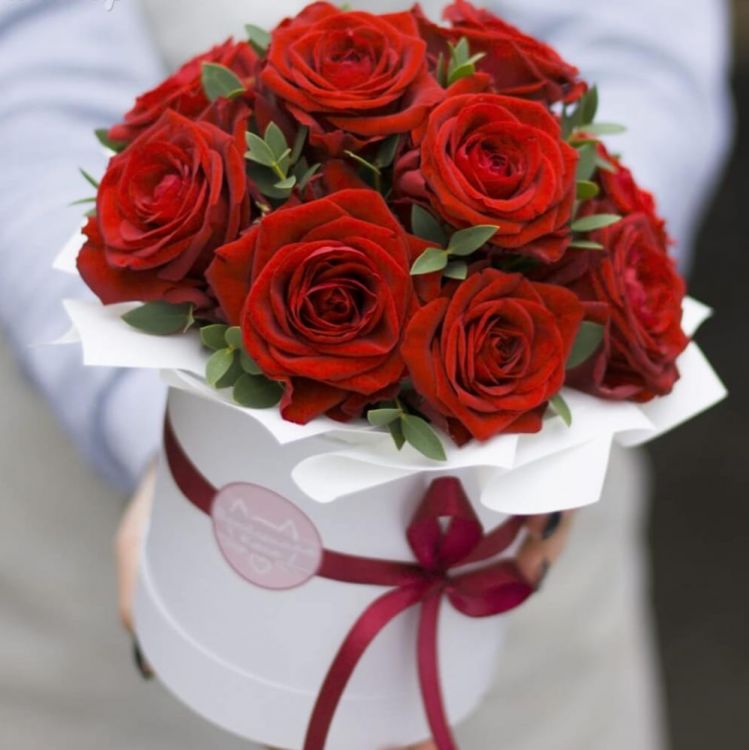 Пленительный от 5 120 руб.