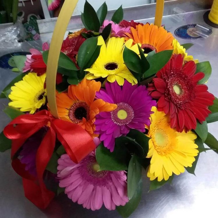 Очей отрада от 5 350 руб.