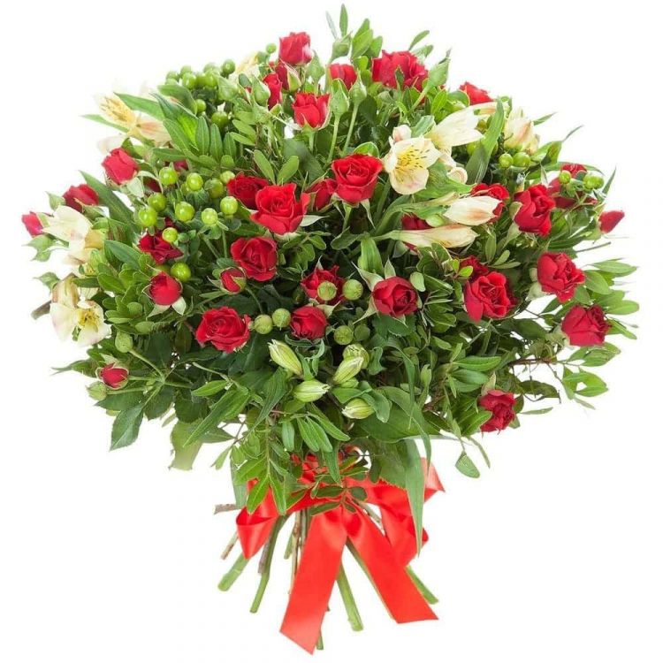 Новая жизнь от 3 900 руб.