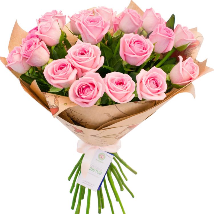 Милый друг от 3 500 руб.