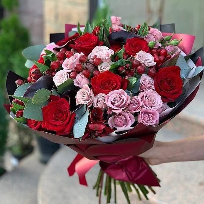 Без границ от 4 550 руб.