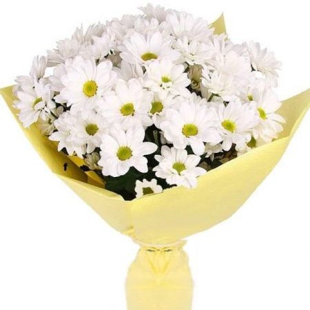 Вечное сияние