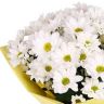 Вечное сияние от 2 740 руб.