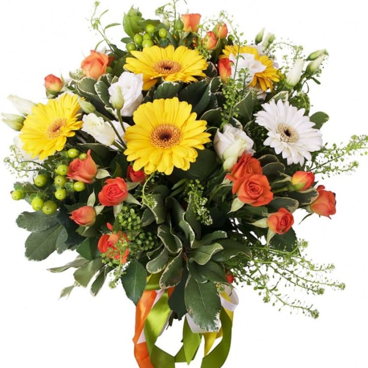 Дом солнца от 5 000 руб.