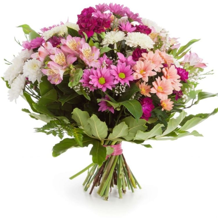 Три метра над небом от 3 240 руб.