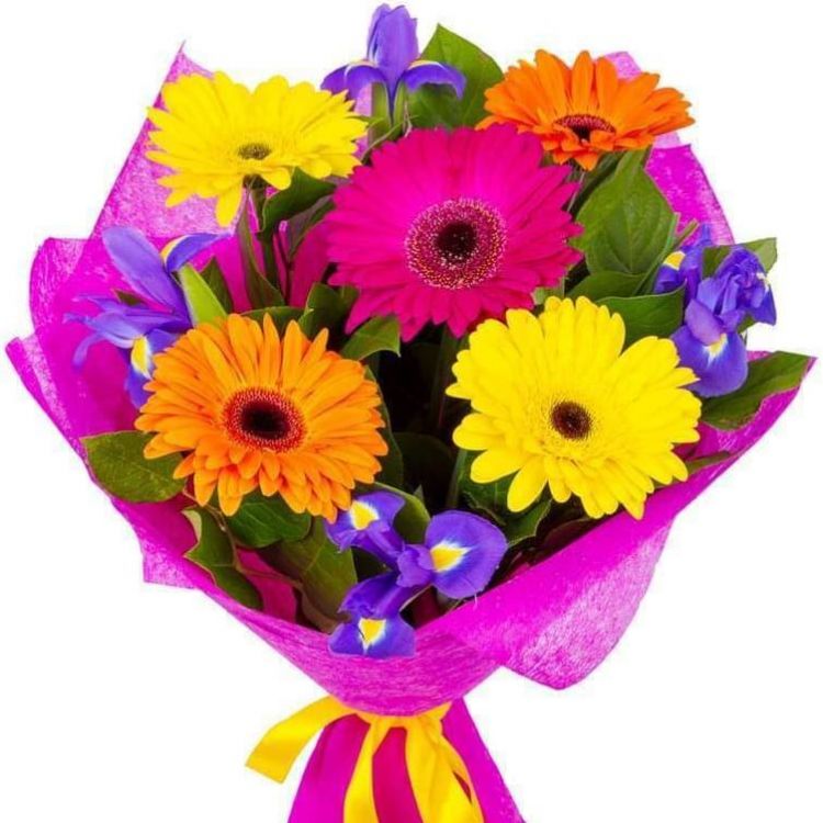 Пилюля для счастья от 2 510 руб.