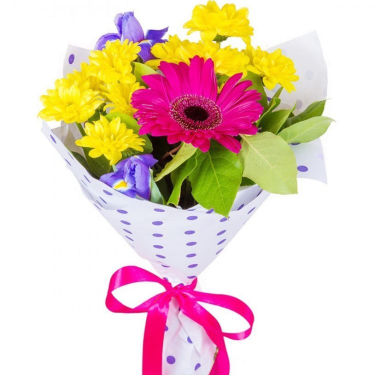 Радуга дуга от 2 740 руб.